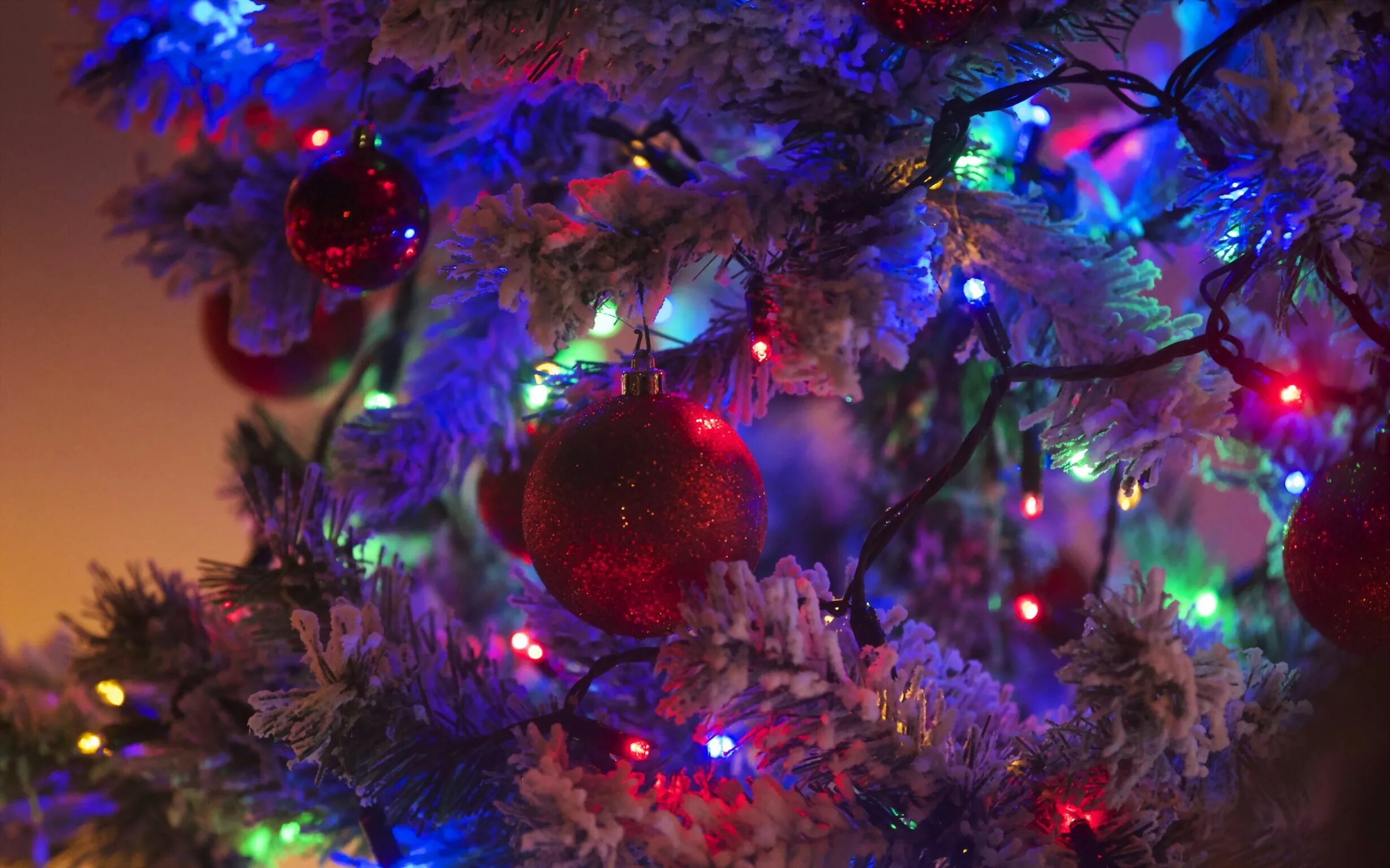 Фотка нового года 2024. Новогодняя елка. Новогодняя заставка. Рождественская елка. Новогодняя елка с гирляндой.