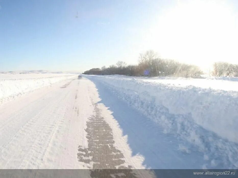 Волчиха Алтайский край. Село Волчиха Алтайский край. Трасса Змеиногорск. Волчиха Алтайский край зимой. По сугробу волчиха взобралась