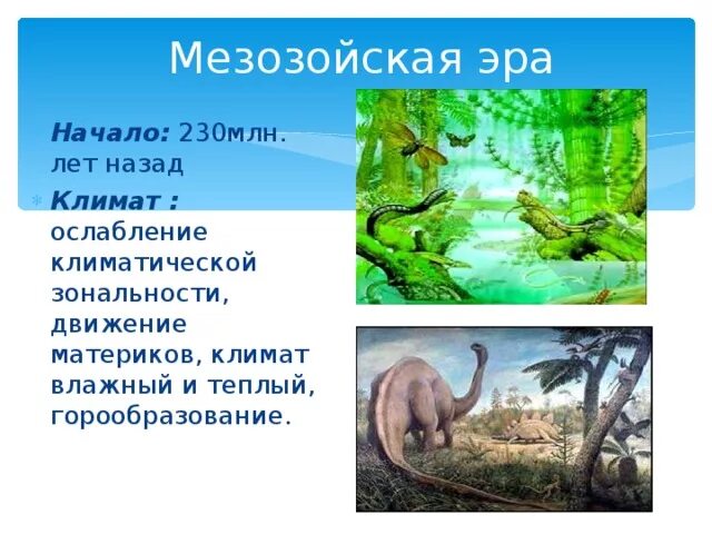 Мезозойская эра 9 класс. Фанерозой мезозой. Мезозойская Эра (Эра средней жизни). Условия на земле в мезозойскую эру. Мезозой условия жизни на земле.