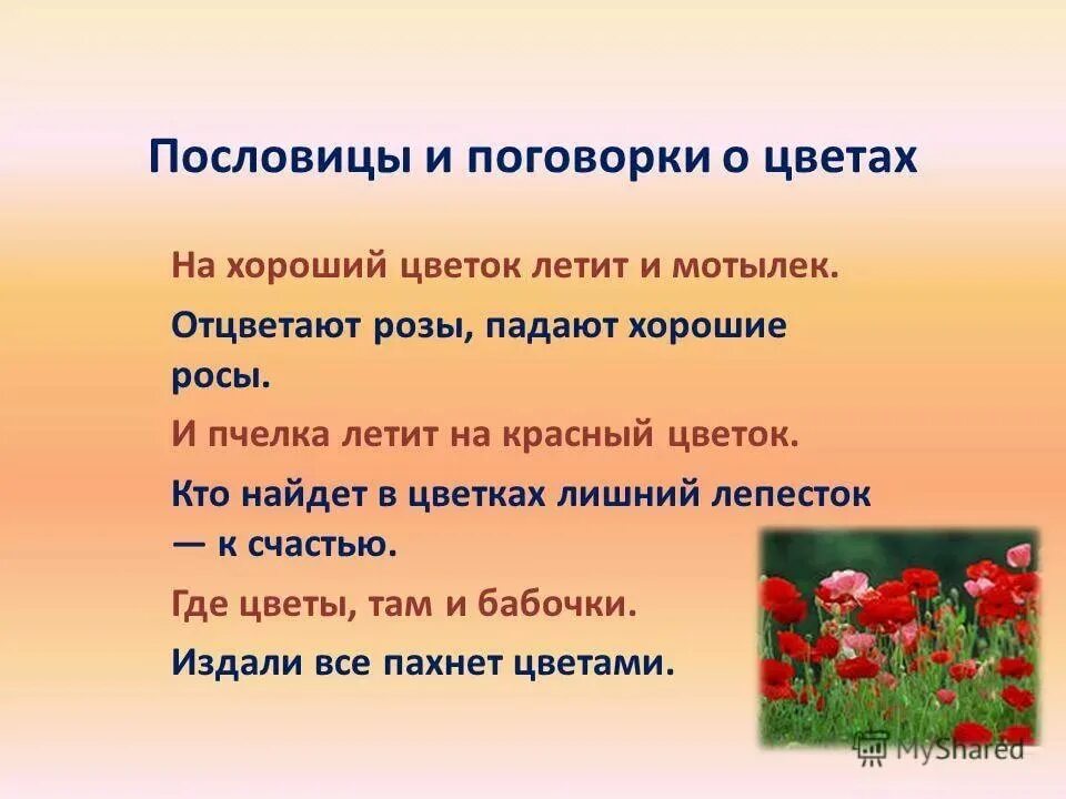 Цветок на земле вопросы по содержанию произведения. Пословицы и поговорки про цветы. Пословицы и поговорки отцветах. Пословицы и поговорки о растениях. Пословицы и поговорки на тему цветы.