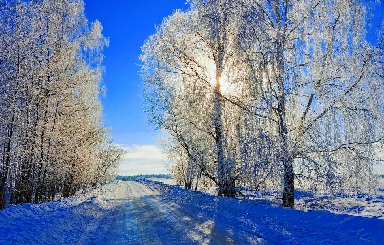 Зимнее снежное день. Природа зима. Зимний Солнечный пейзаж. Солнечный зимний день. Февраль природа.