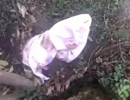 Россиянка родила и бросила в турции