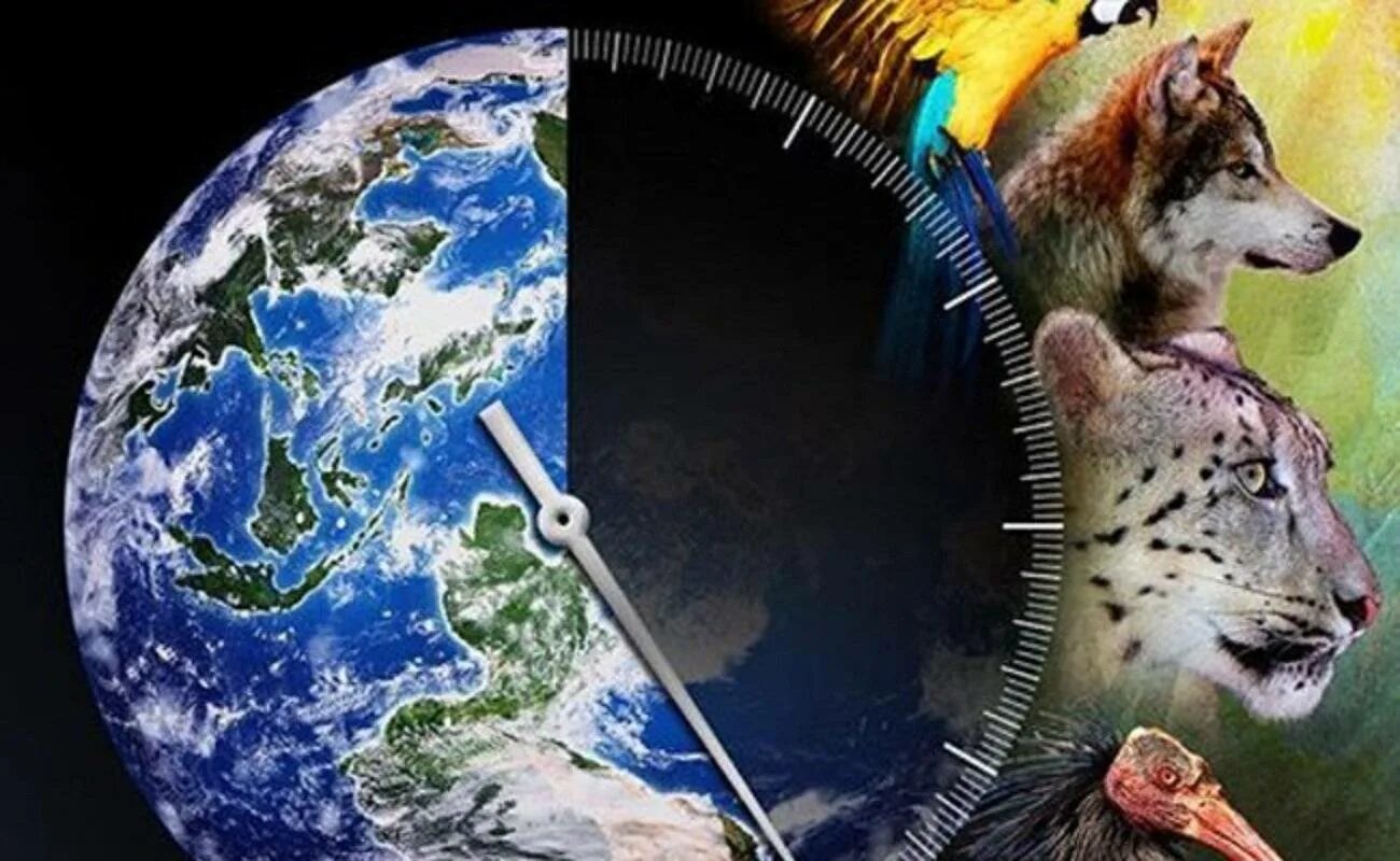Проблемы биоразнообразия земли