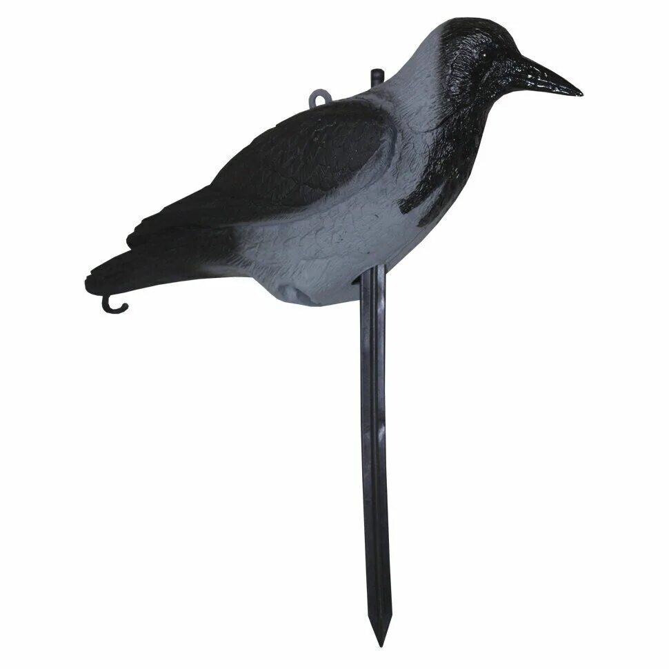 Ворон чучело. Ворона чучело для охоты. Ворон чучело. Чучело вороны. Чучело ворона.