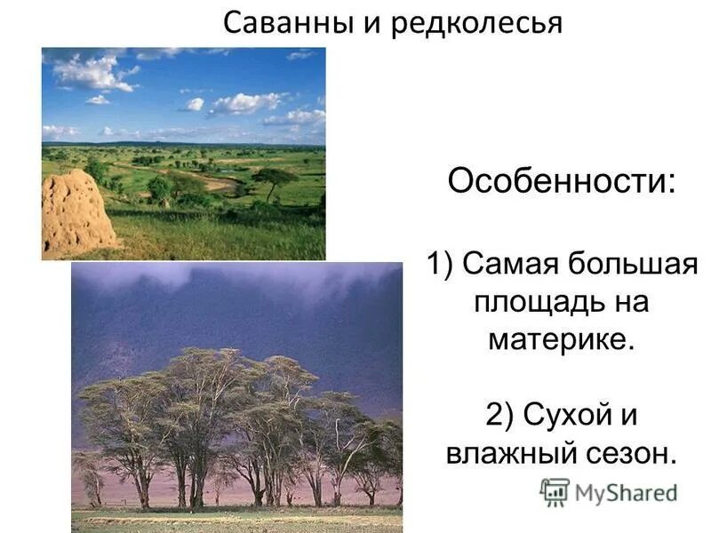 зона саванн и редколесий в африке на карте. географическое положение саванны карта. зона саванн и редколесий в австралии. расположение саванн на карте. географическое положение редколесья в африке.