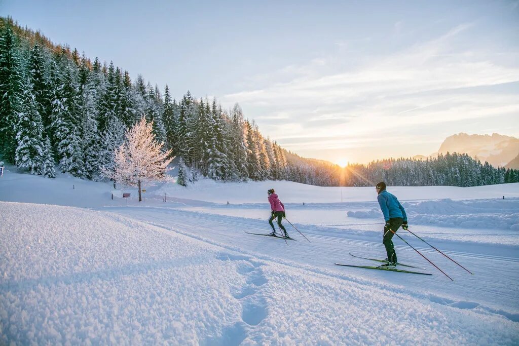 Катание на лыжах. Лыжная прогулка. Лыжи зимой. Ходьба на лыжах. Skiing track