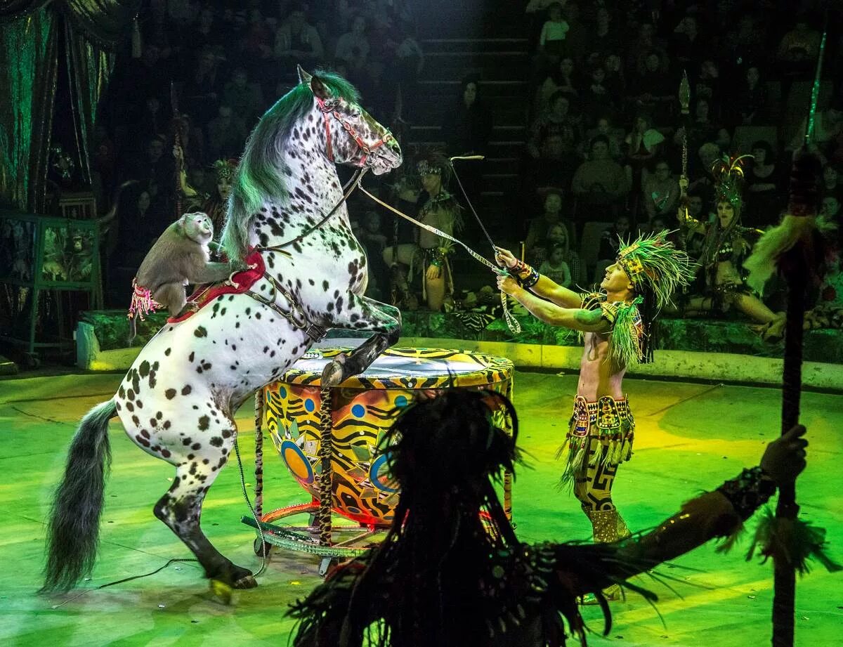 цирк гии эрадзе гимнасты. московский цирк гия эрадзе. королевское шоу гии эрадзе. цирк гии эрадзе 2022. фиолетовый цирк.
