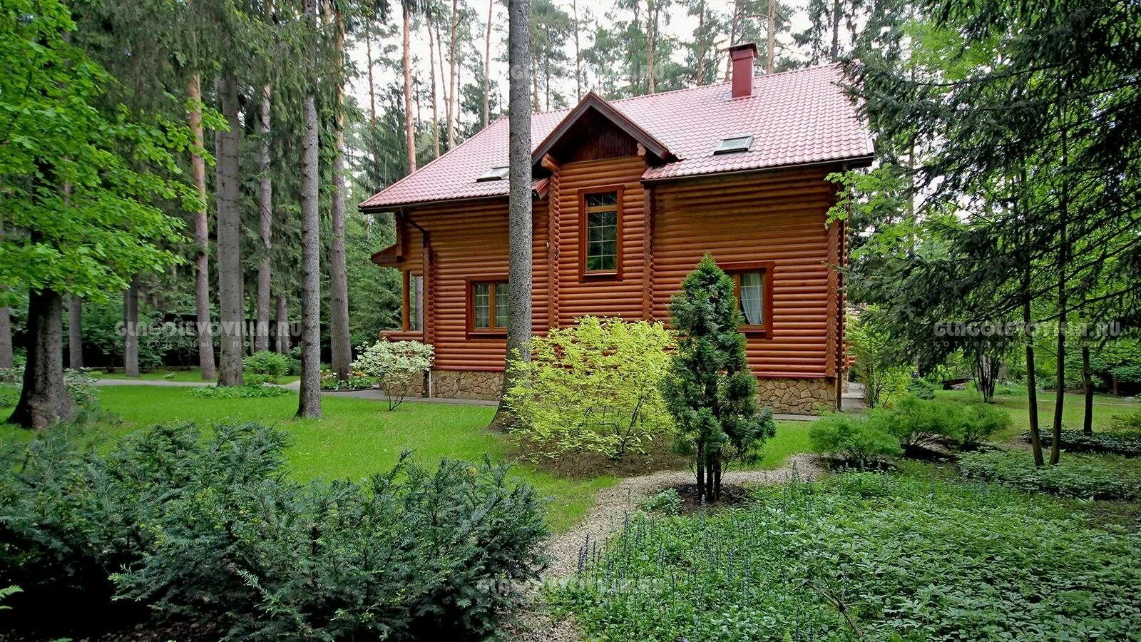 Хвойные подмосковья. Поселок Сосновый Бор Николина гора. Хонка в Абрамцево. Сосновый Бор Подмосковье коттеджный поселок. КП Сосновый Бор Рублевка.