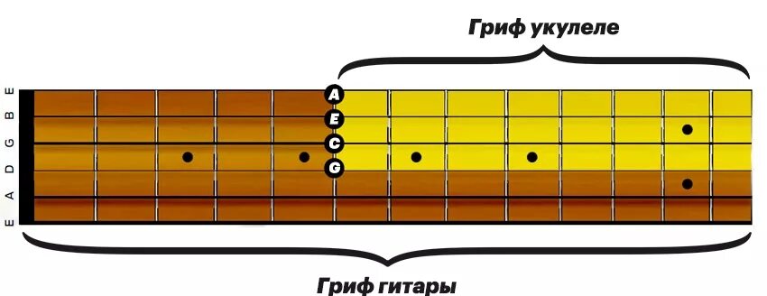 Открытые струны какие ноты. Строй укулеле ноты. строй гитары укулеле сопрано. ноты на грифе укулеле сопрано. ноты на 4 струнной укулеле.