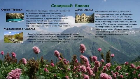 Почему северный кавказ стал