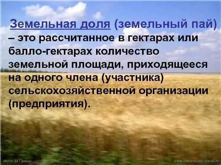 Земельный Пай. ПАИ земли сельское хозяйство. Пай это сколько гектаров. Пай сельхозназначения.