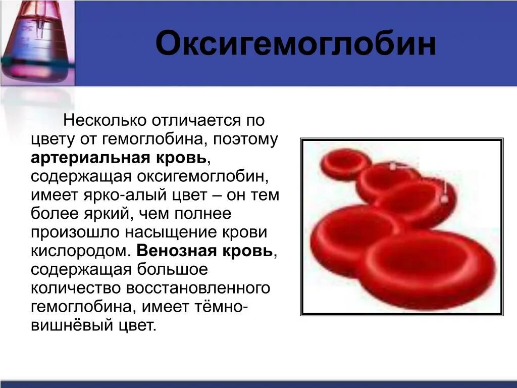 Ярко красный цвет крови является признаком. Оксигемоглобин. Гемоглобин и оксигемоглобин. Кислород в крови.