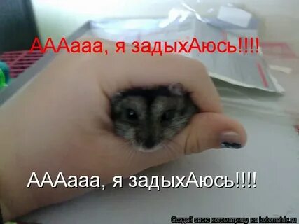 Я задыхаюсь