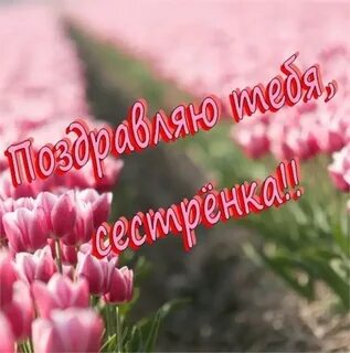 Поздравления с днем сестру наташу