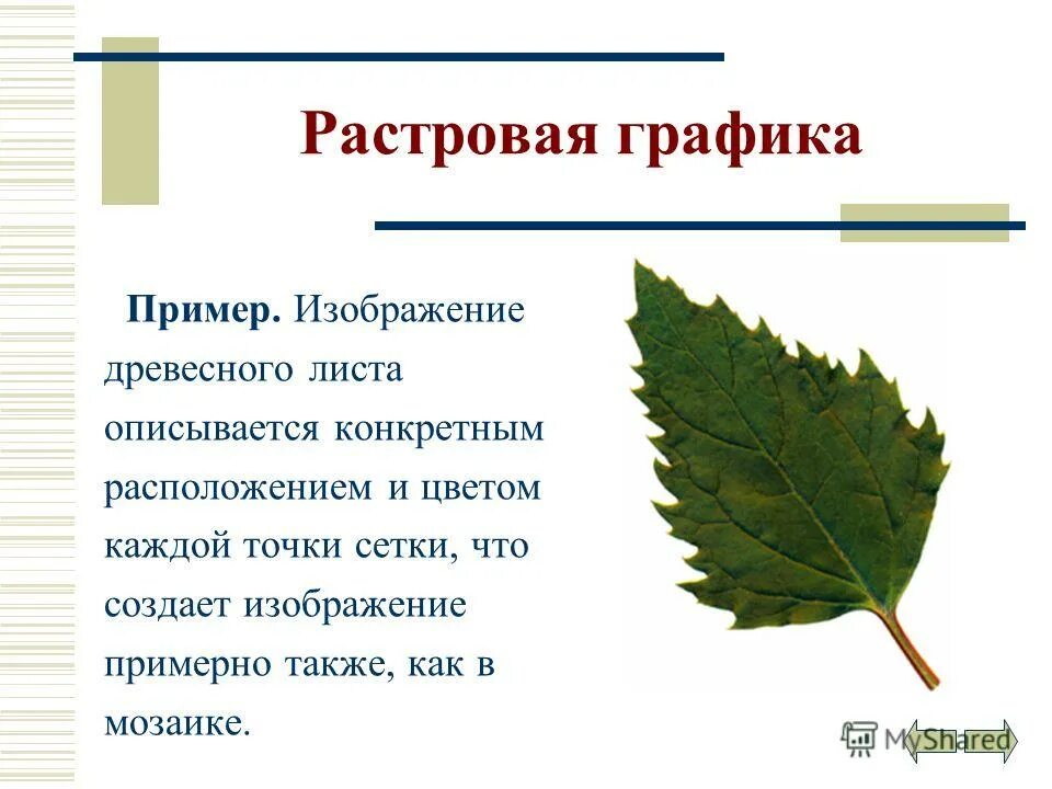 признаки растровых изображений