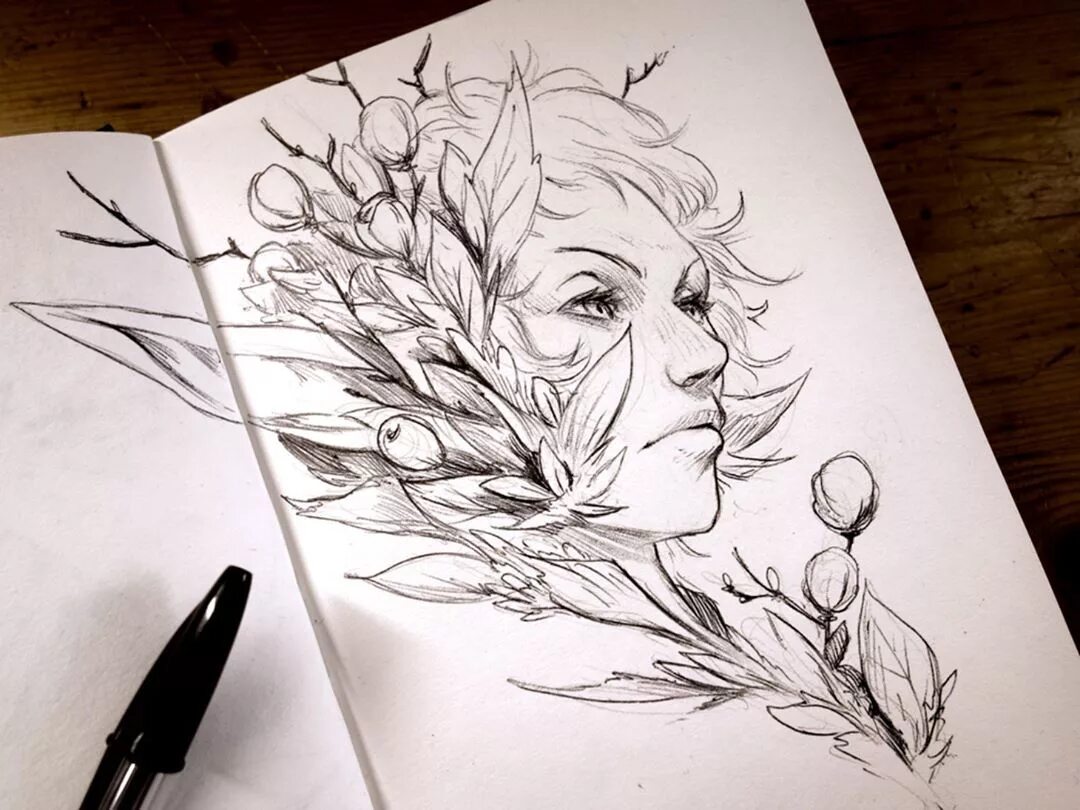 Sketch draw paint