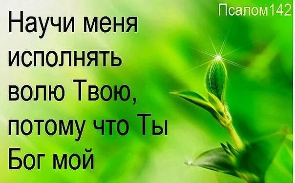 Боже мой с тобою быть хочу. Научи меня исполнять волю твою. Научи меня исполнять волю твою потому что ты Бог мой. Псалом 142. Псалом 142 10.