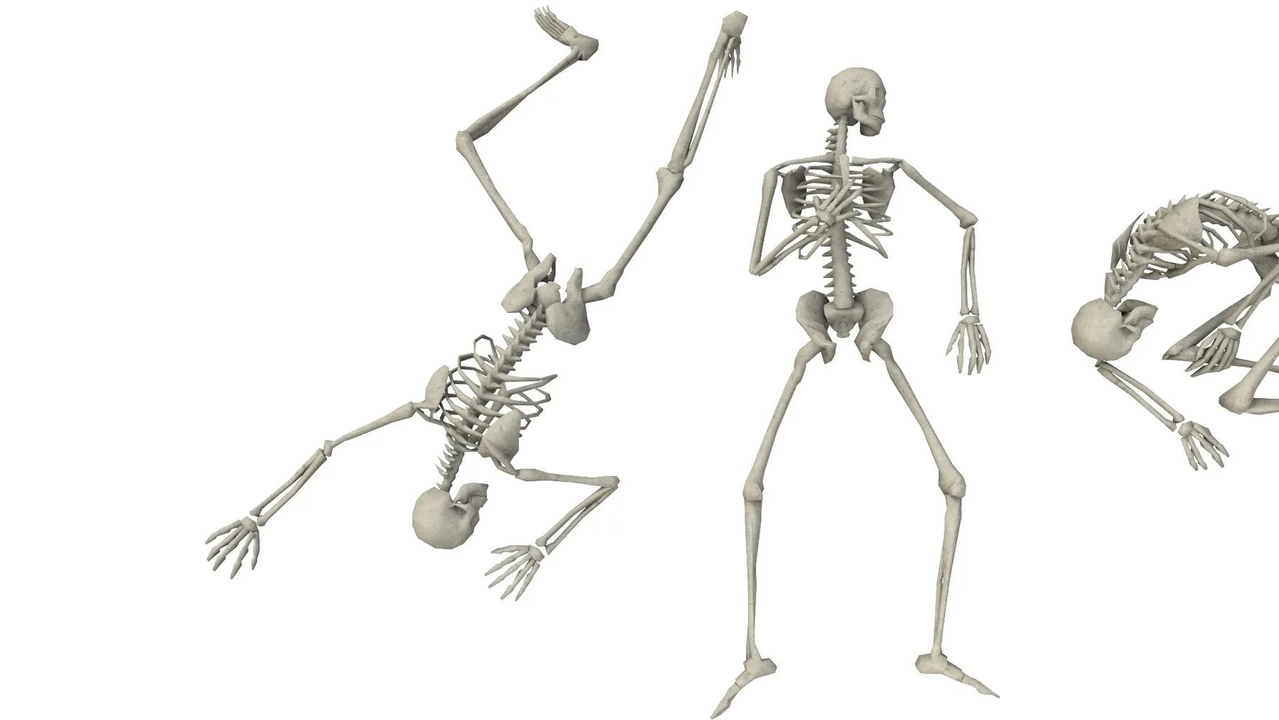 Облегченный скелет. Скелет референс. Скелет референс позы. Зд референс скелет. Транзит скелет.