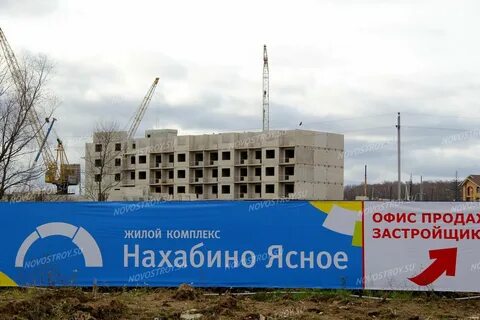 Строительный ясный