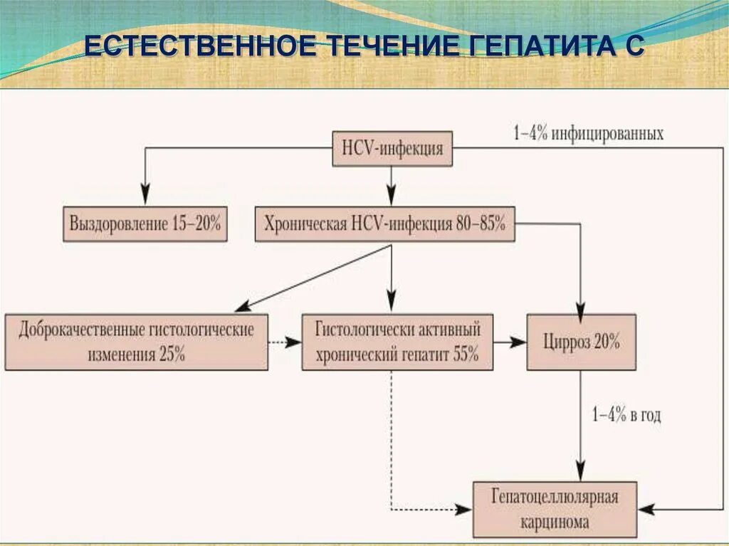 Гепатит а патогенез. Вирус гепатита с патогенез схема. Патогенез вирусного гепатита в. Патогенез гепатита а схема. Вирус гепатита а патогенез.