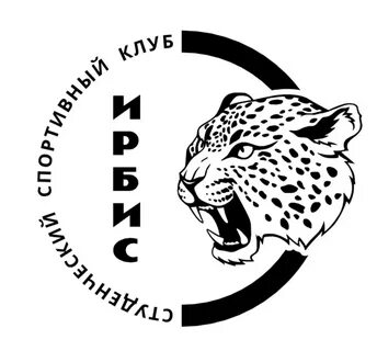 Барс расшифровка