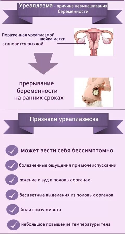Микроплазменная инфекция симптомы. Симптомы уреаплазмоза у женщин. симптоматика уреаплазмоза у женщин. симптомы уреаплазмы у женщин. признаки уреаплазмоза у женщин.