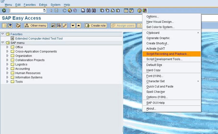 Sap scripts. Sap iq.