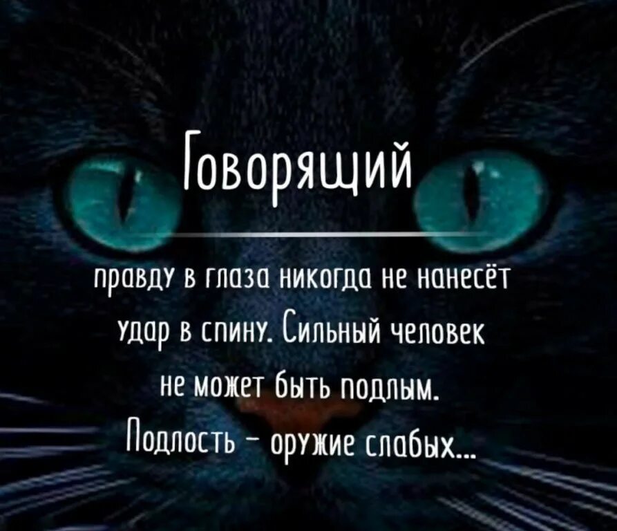 Не буду правда скрывать. Говорящий правду в глаза никогда не нанесет удар в спину. Говорящий правду в глаза. Подлость оружие слабых. Говорящий правду в глаза никогда.