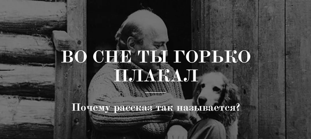 Во сне ты горько плакал трейлер. Во сне ты горько плакал Казаков. Ю.П. Казакова «во сне ты горько плакал». Почему рассказ называется во сне ты горько плакал. Казаков рассказ во сне ты горько плакал.