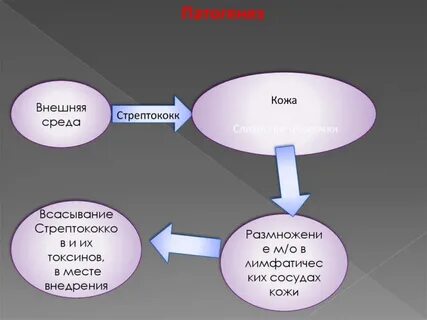 Этиология кожи