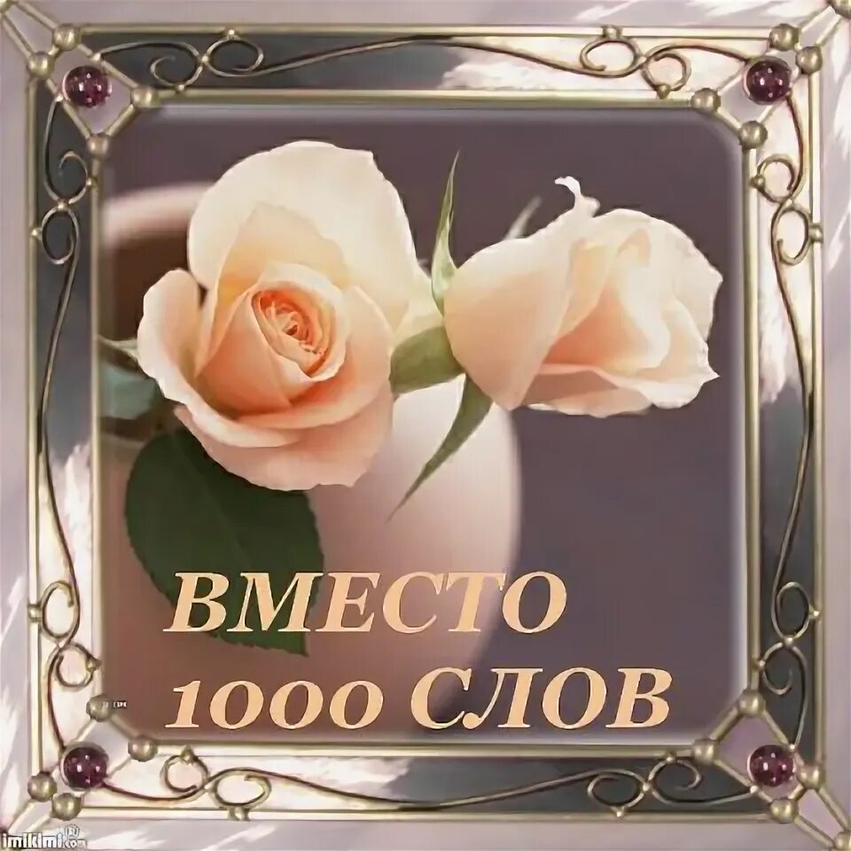 Тысяча слов читать. Вместо 1000 слов. Открытка вместо тысячи слов. Открытка с цветами вместо тысячи слов. Вместо тысячи слов картинка.