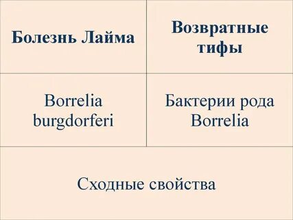 Клещевой возвратный тиф