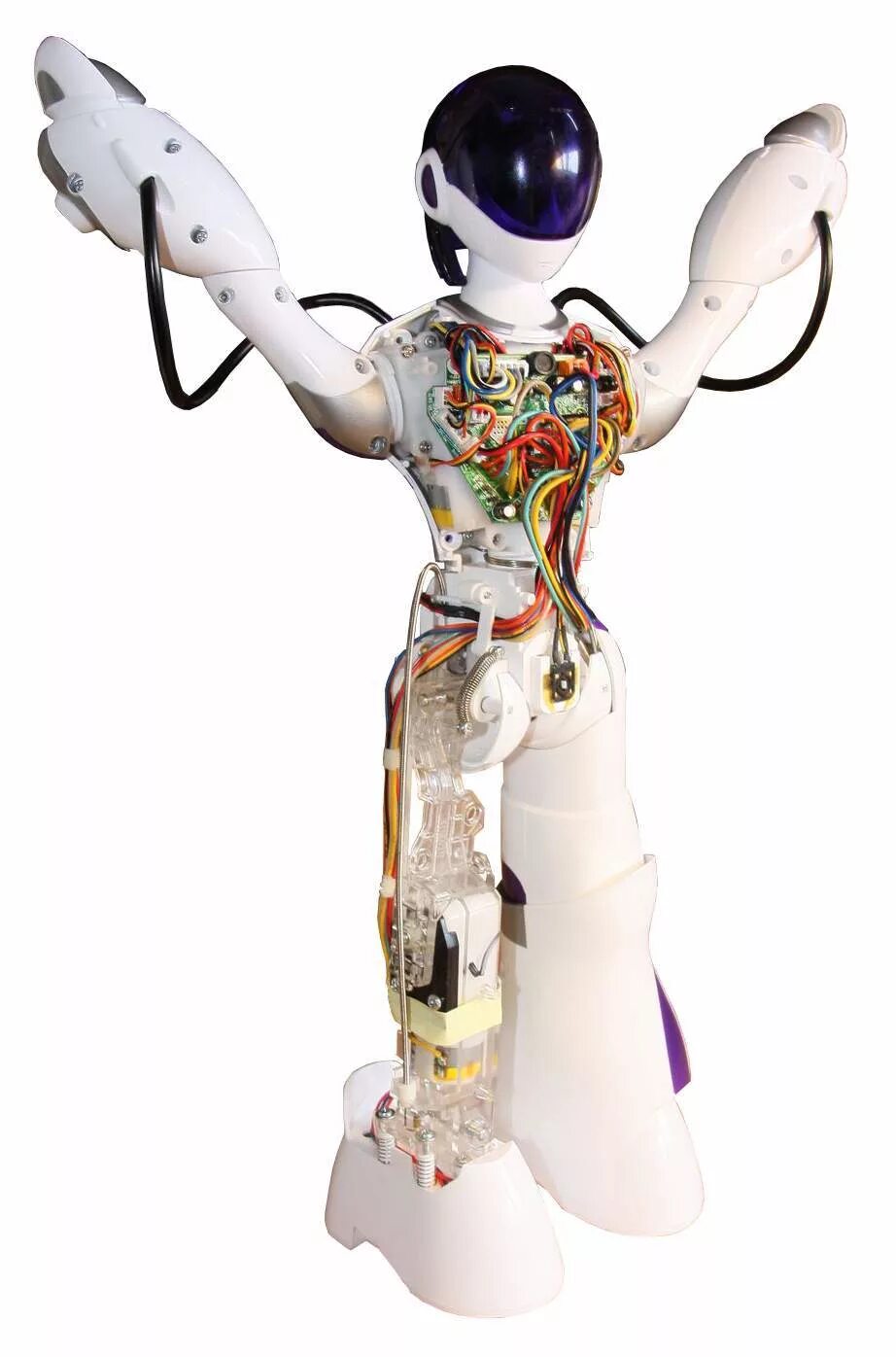 Есть кукла робот. Wowwee робот femisapien. робот femisapien wowwee 8001. женоробот wowwee ltd robotics femisapien 8001-w. робот-девушка wowwee femisapien.