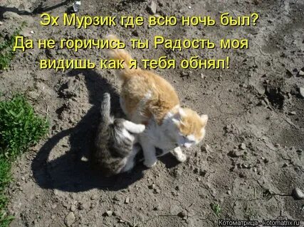 А ты радость