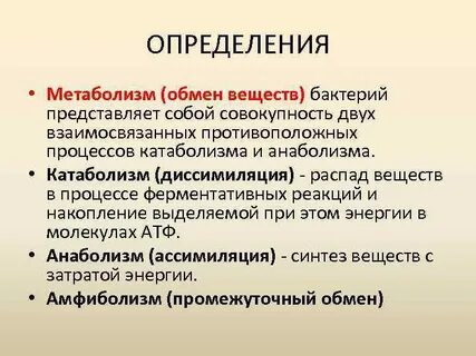Метаболизм это в биологии кратко