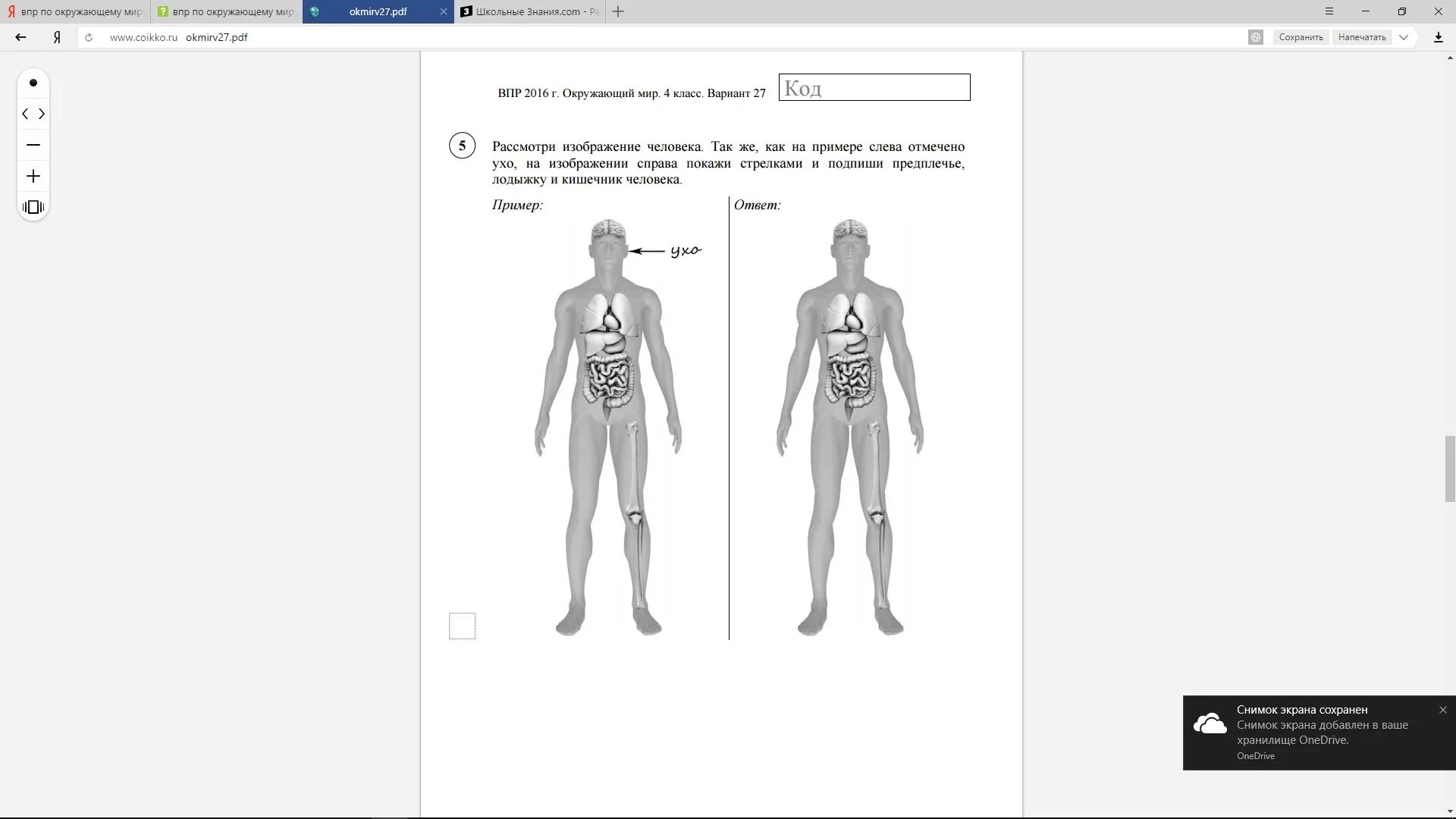 Изображение тела человека ВПР окружающий мир 4 класс. Тело человека ВПР 4 класс. Строение человека ВПР. Строение человека ВПР 4 класс.