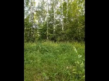 Пастернак белая ночь