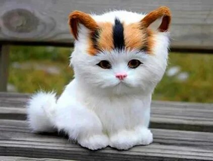 Ну кошечка