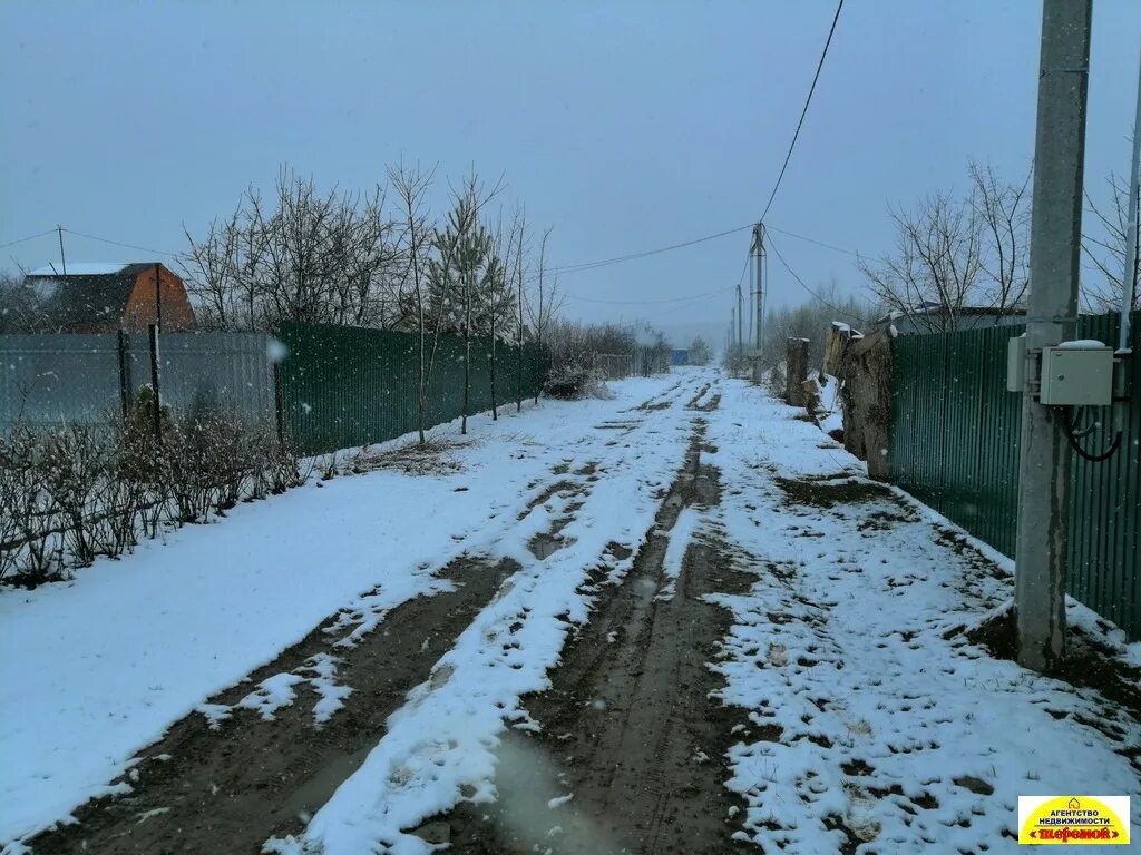 Ст дубок. Ст дубок. Ст дубок. Дуб черешчатый (quercus robur). Ст дубки.