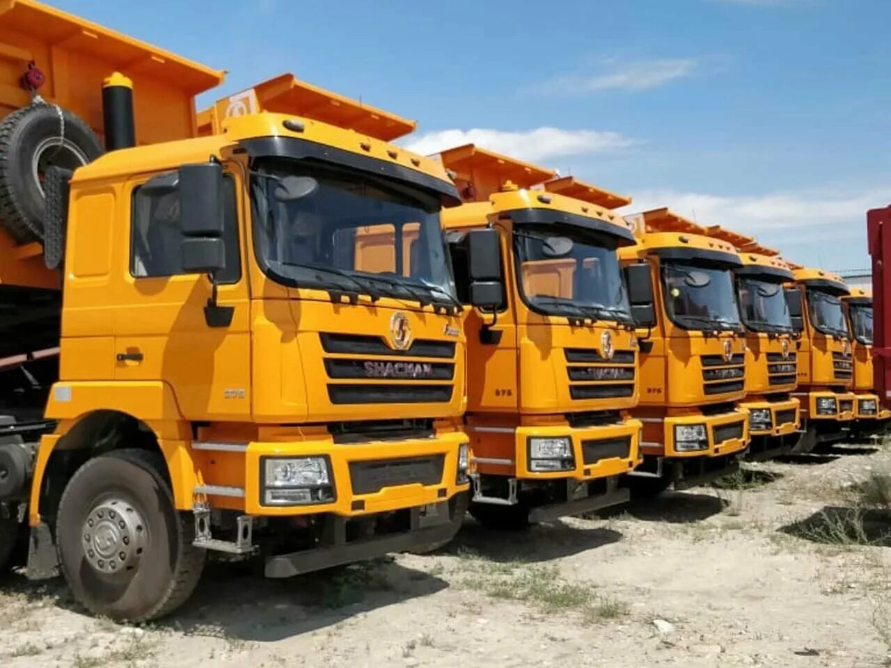 Shacman sx3256. шакман sx3256dr384. Shacman (shaanxi). грузовики shacman. Shacman 6x6 sx3258dt385 f3000.
