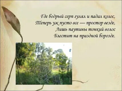 Стих где серп гулял и падал колос