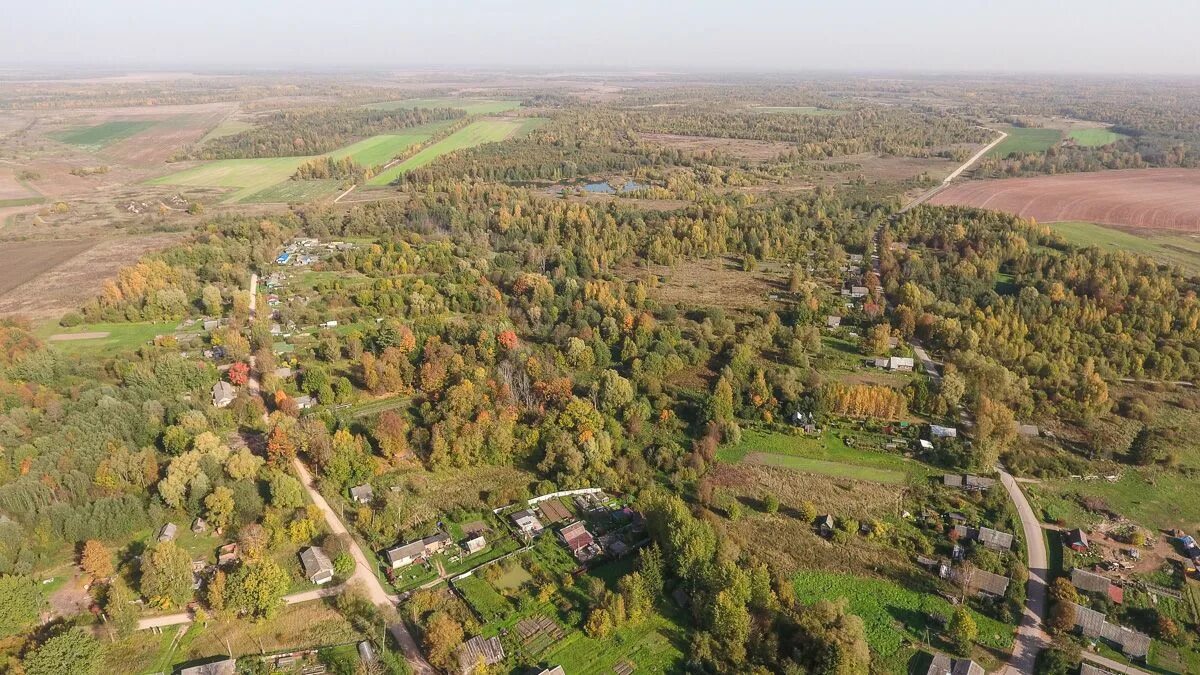 Поля новгородская область. Любыни Шимский район. Деревня Любыни Новгородская. Любыни Шимский район Новгородской области. Д Любыни Шимского района Новгородской области.