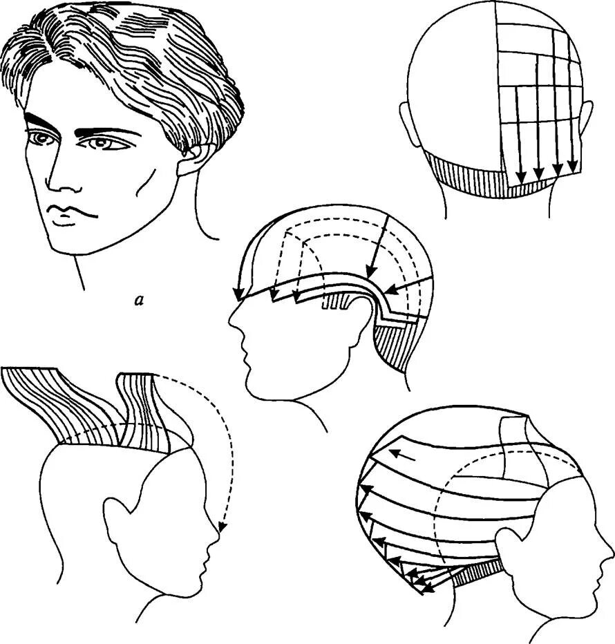 Технология выполнения мужской стрижки. Мужская стрижка Боб схема стрижки. Мужская стрижка канадка технология выполнения схема. Стрижка Каскад мужская схема стрижки. Технология стрижки полубокс схема.