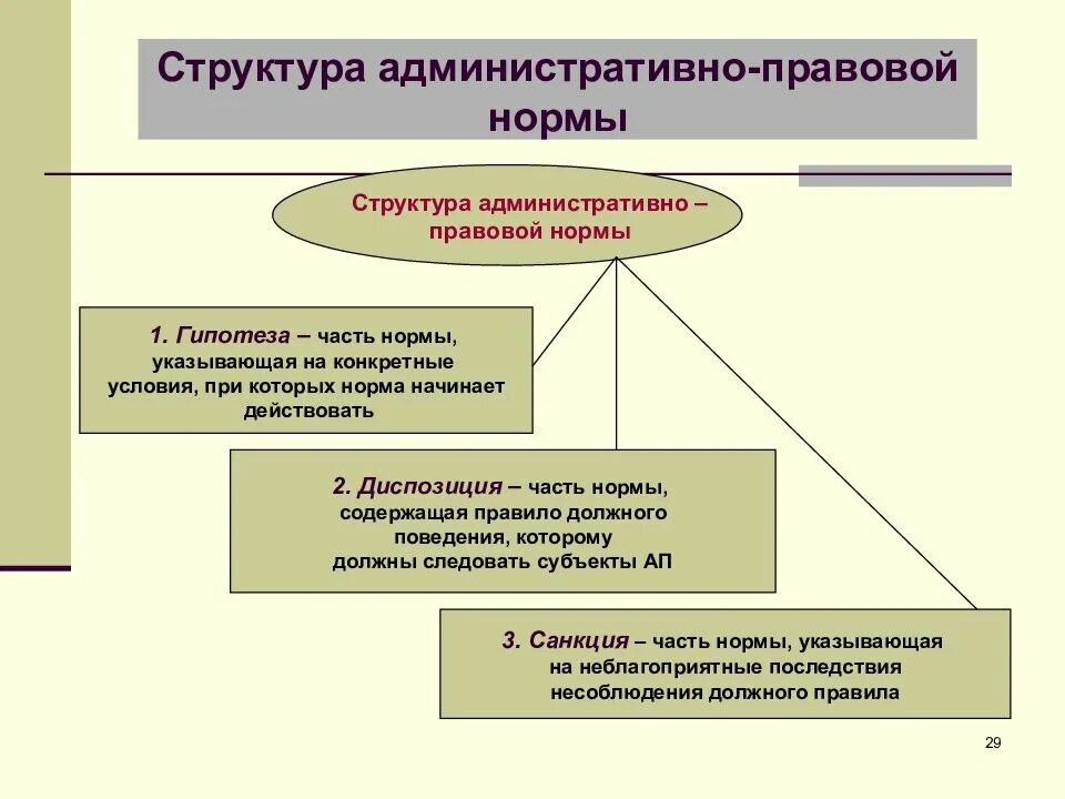 Структура административно-правовой нормы. Структура административных правовых норм. Особенности структуры административно-правовых норм.