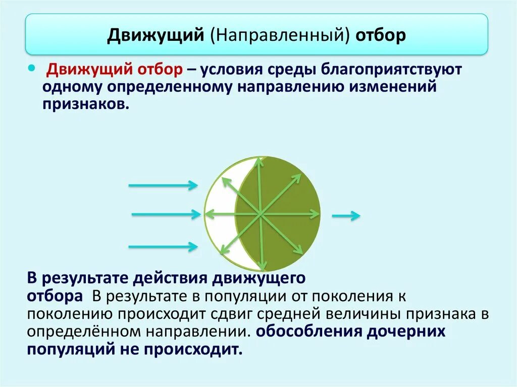 Движущий отбор направлен на. Условия среды движущего отбора. Направленный отбор. Механизм действия естественного отбора.