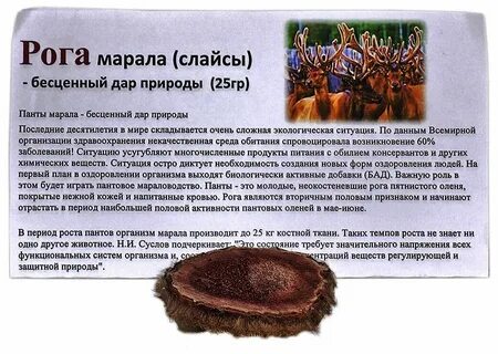 Пантов маралов отзывы
