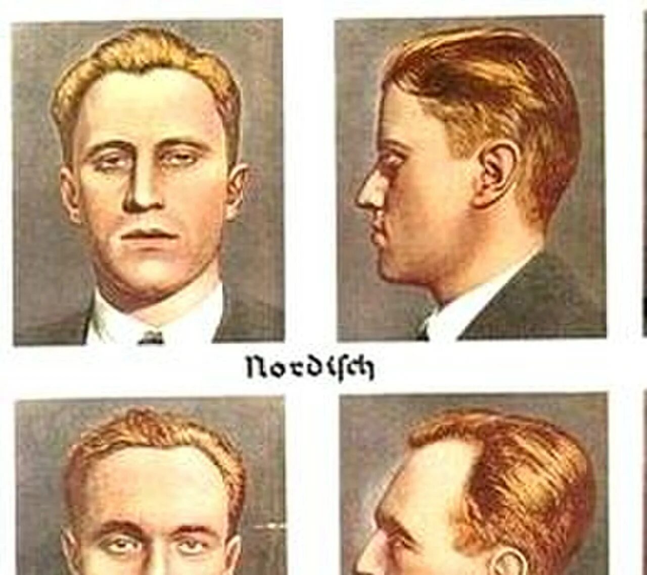 Теория высшей расы. Гюнтер нордическая раса. арийцы ганс гюнтер. расовая теория гюнтера. арийские расы по гюнтеру.