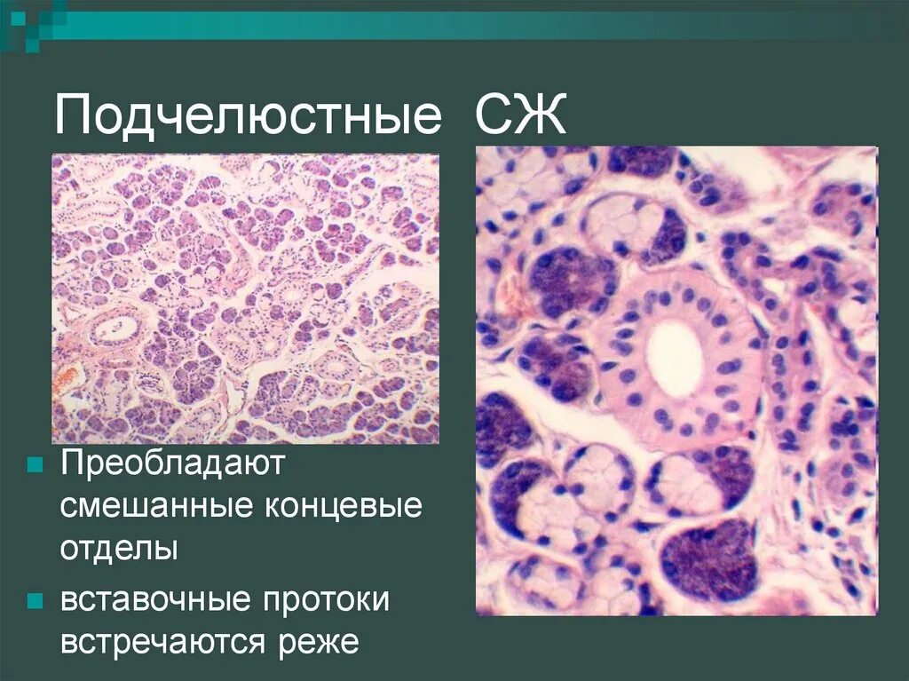 Смешанное преобладание