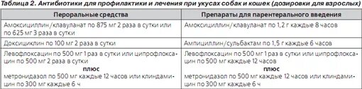 Какой антибиотик принимать при укусе. Антибиотики при укусе собаки. Какой антибиотик пить при укусе кошки. При укусе собаки антибиотики амоксиклав. Какие антибиотики можно принимать при укусе собаки.