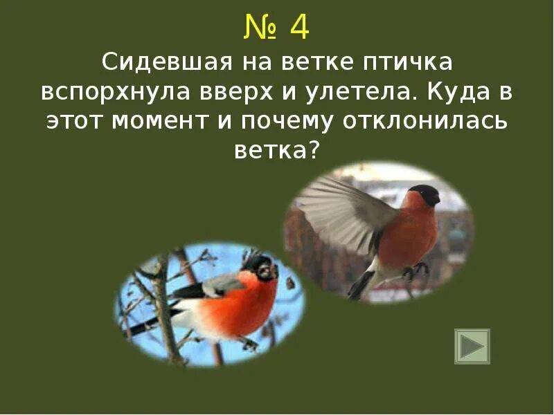 Птица вспорхнула с ветки. Птицы сидят на ветке и улетают. Птичка высидела и улетели. Порхают с ветки на ветку. Слайд к задаче на ветке сидели 4 птицы.